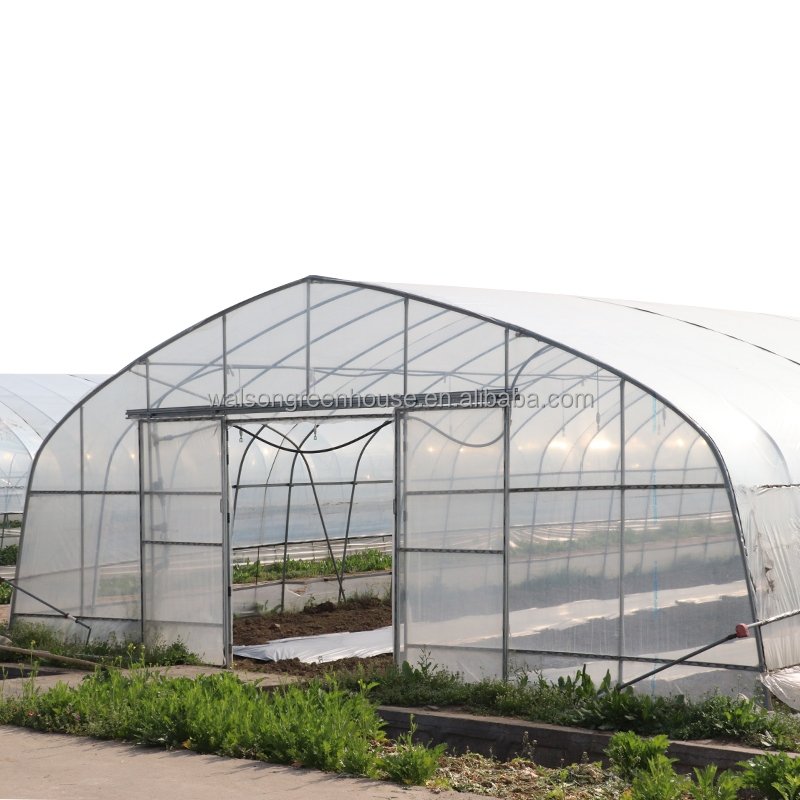 Large Commercial Green Houses Agriculture Greenhouse Guangzhou