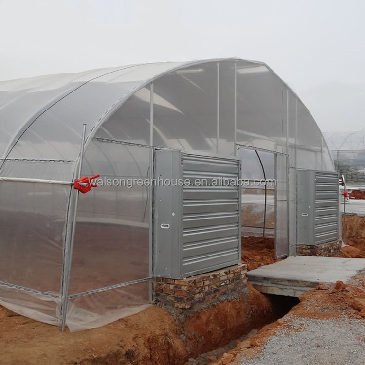 Large Commercial Green Houses Agriculture Greenhouse Guangzhou