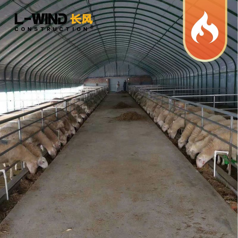 Farming animal husbandry green house pig/sheep/chicken greenhouse plastic poultry farm breeding greenhouses