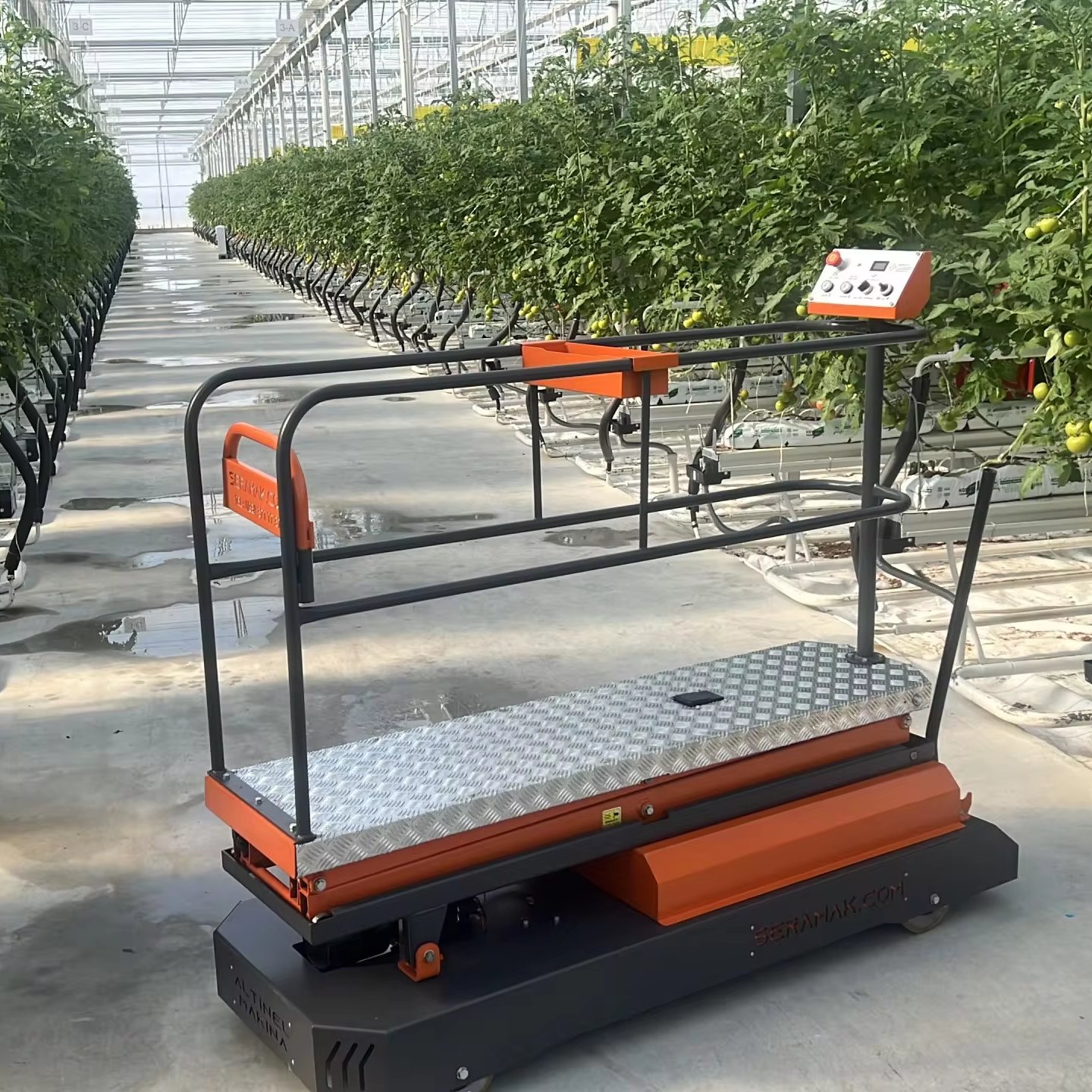 Greenhouse Cultural Processing Trolley Agricultural Greenhouse Equipment Greenhouse Trolley For Plants Worldwide Shipping