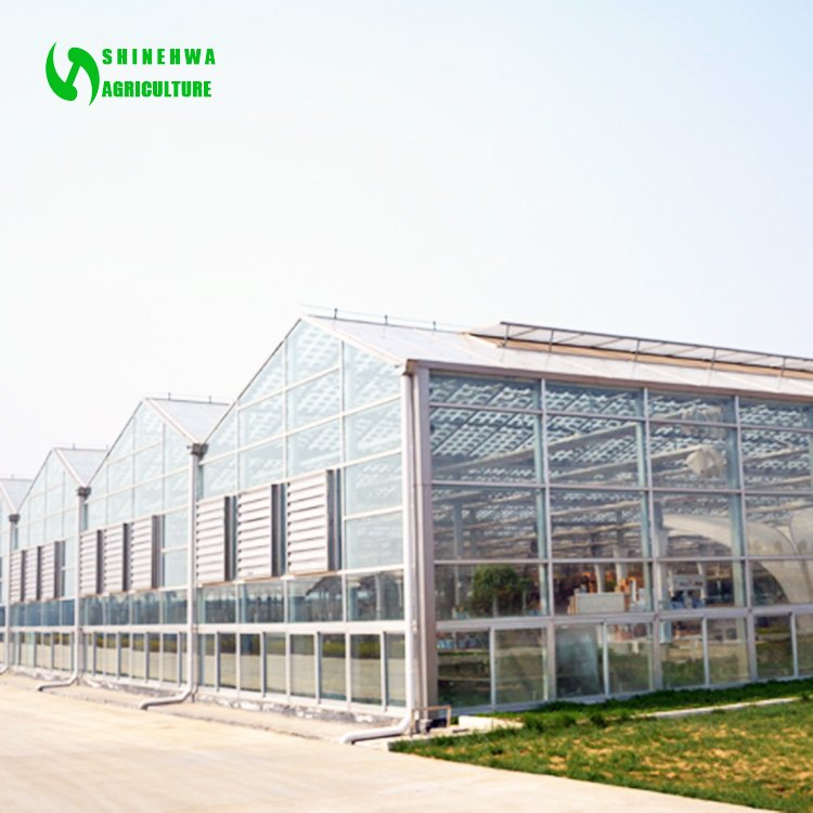 Commercial modern electric power solar energy greenhouse for agriculture