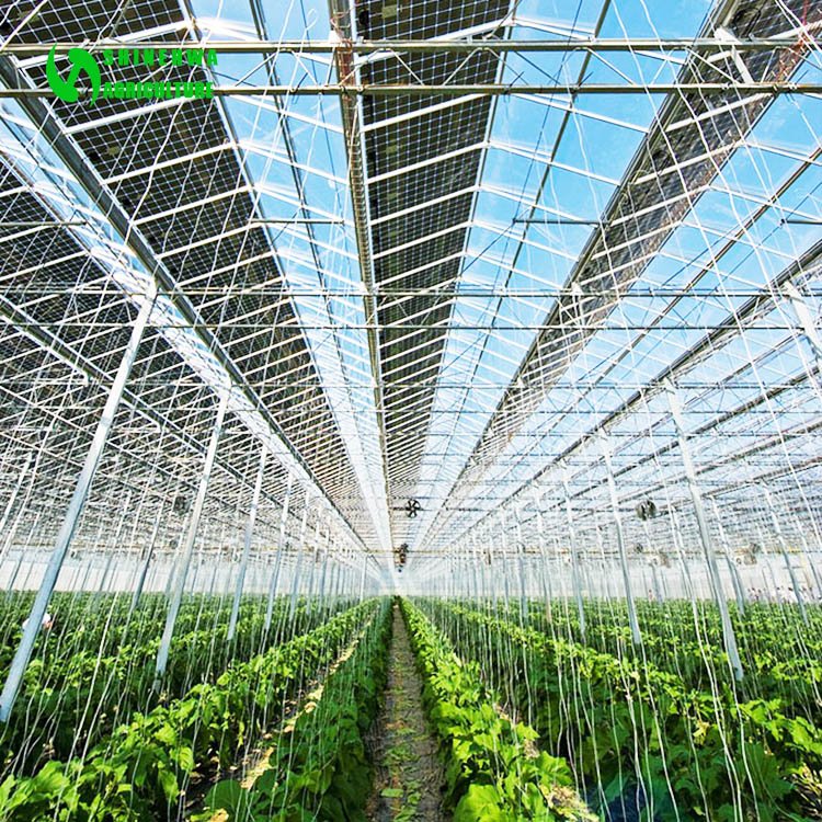 Commercial modern electric power solar energy greenhouse for agriculture