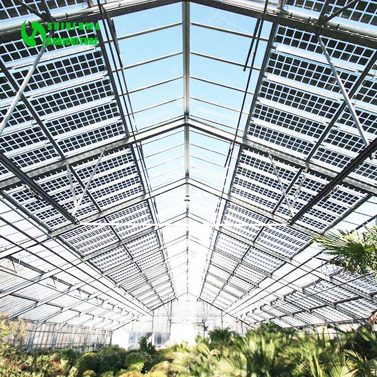 Commercial modern electric power solar energy greenhouse for agriculture