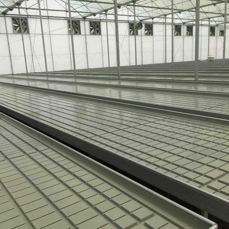 Hot selling Greenhouse Hydroponics 4X8 Breeding Table Ebb and Flood Rolling Bench
