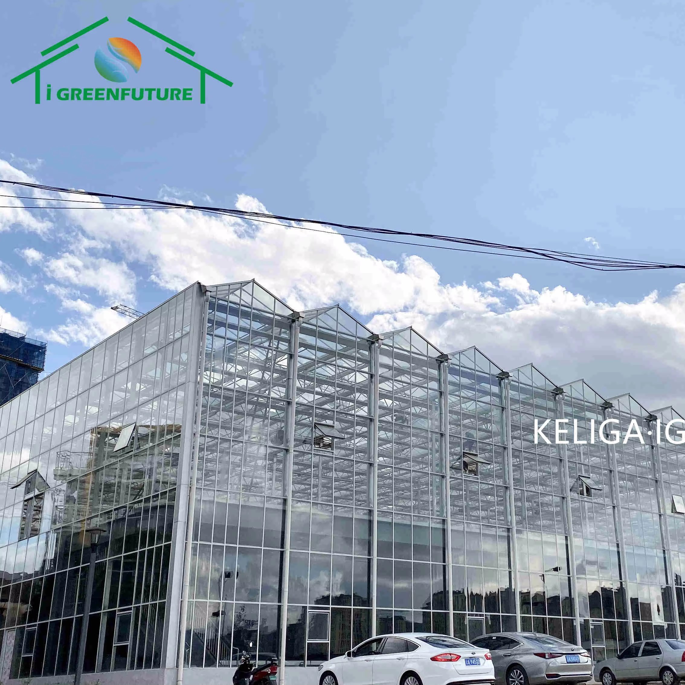 Agricultural Greenhouse Venlo Glass Agricultural Green house shade green house for plants/vegetable/flowers