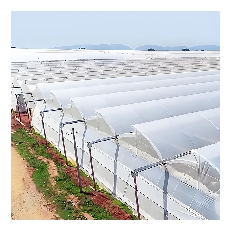 High Strength Commercial Agricultural film/greenhouse covering/agricultural plastic film