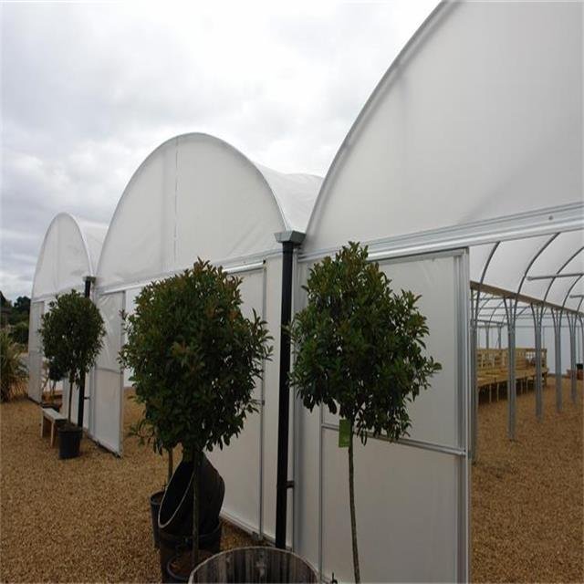 Agriculture plastic large multi span greenhouse for sale