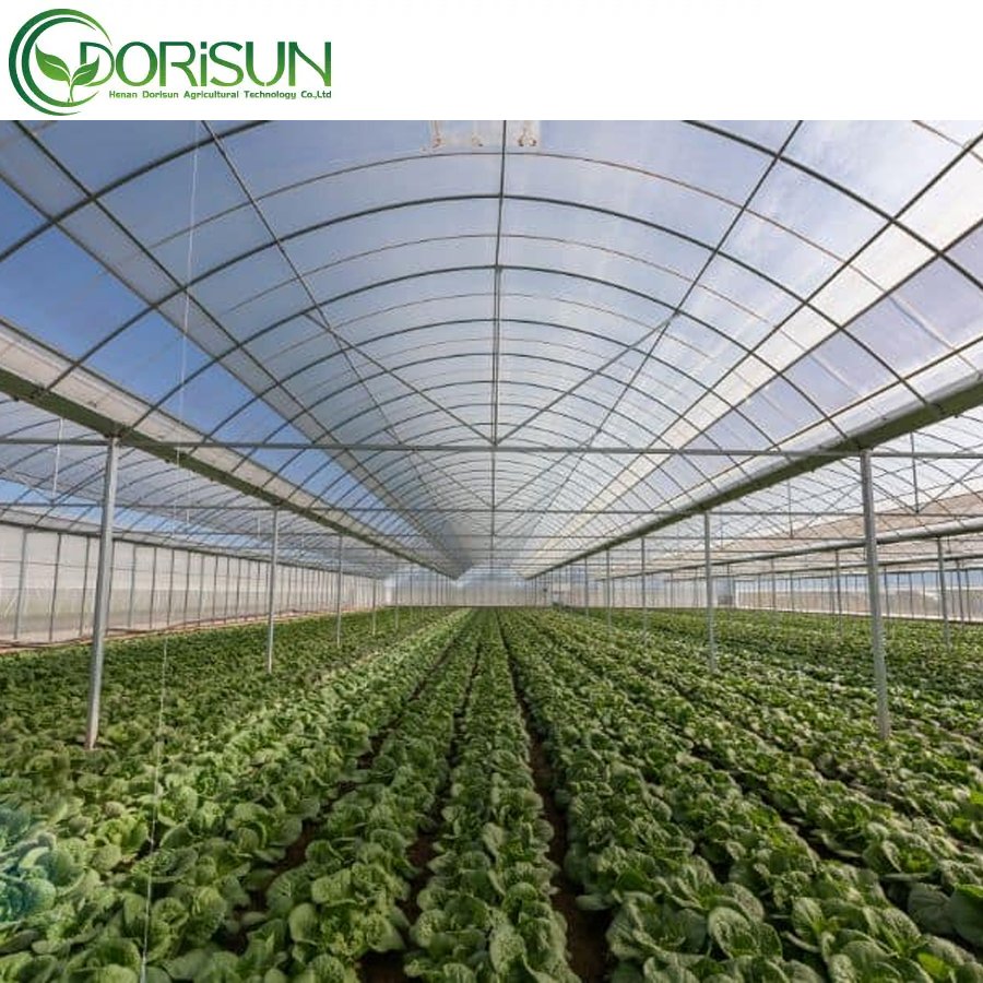 PE Film Covering Single Span Greenhouse Agricultural Greenhouse For Plant And Flower Seedling Cultivation