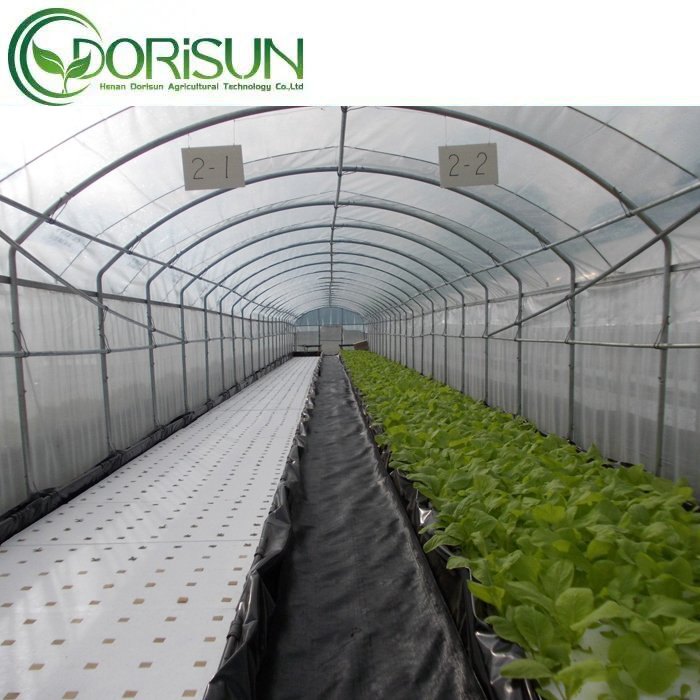 PE Film Covering Single Span Greenhouse Agricultural Greenhouse For Plant And Flower Seedling Cultivation
