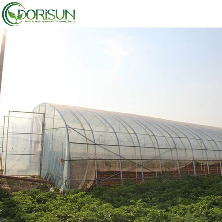 PE Film Covering Single Span Greenhouse Agricultural Greenhouse For Plant And Flower Seedling Cultivation