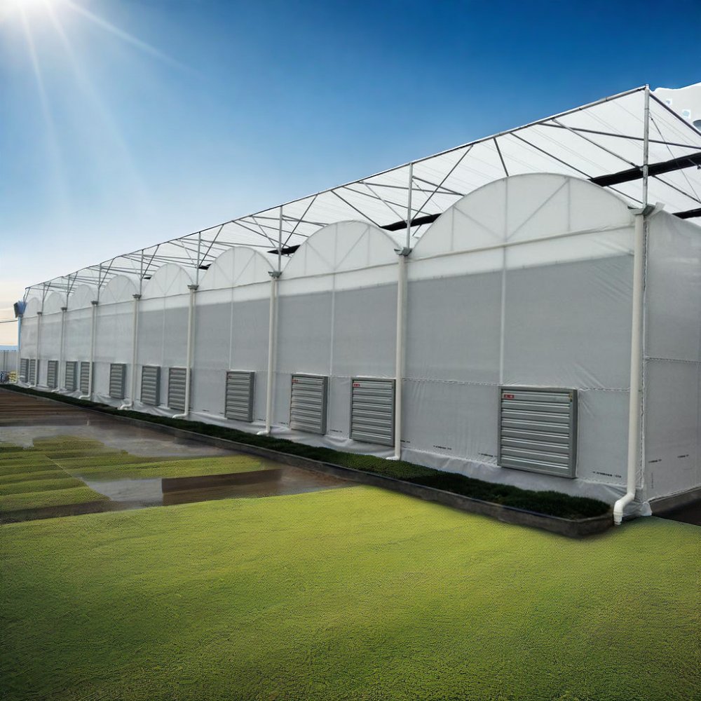 Agriculture Multi-Span Arch Greenhouse Double Layer Plastic Film for Tomato Strawberry Easily Assembled Galvanized Steel Frame