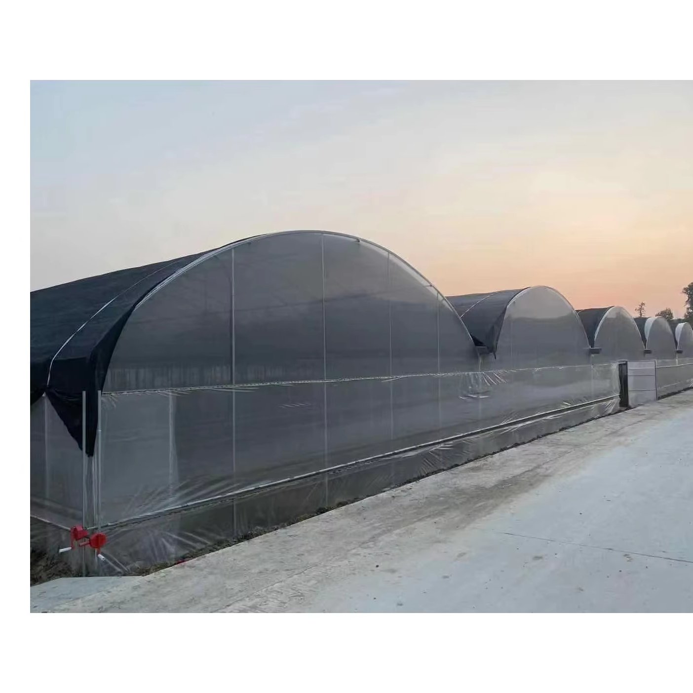 Vegetable and Fruit Growing Hoop House Multi-span Agricultural Greenhouse Tunnel Hot Sale Detached Greenhouse Greenhouse