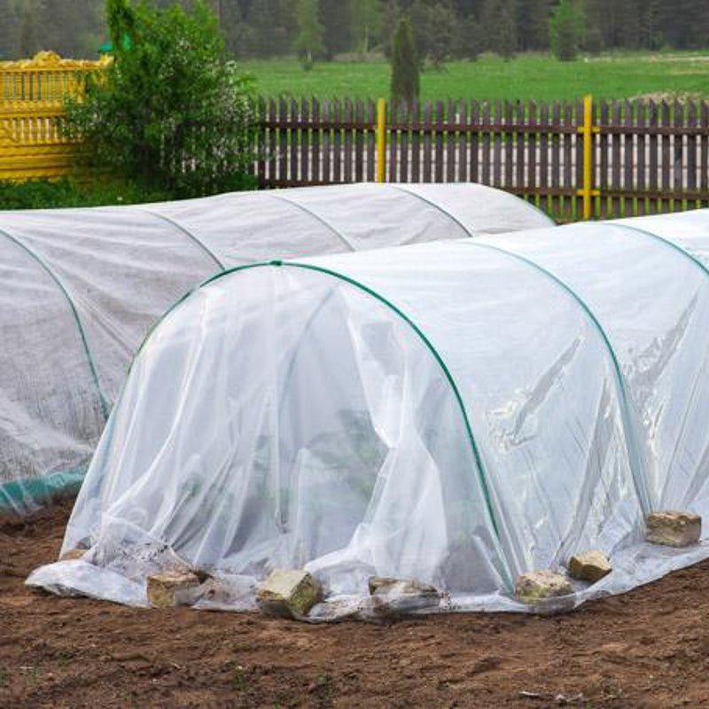 Plastic Film Greenhouse cheap single span greenhouse tunnels for Vegetables/Flowers/Garden