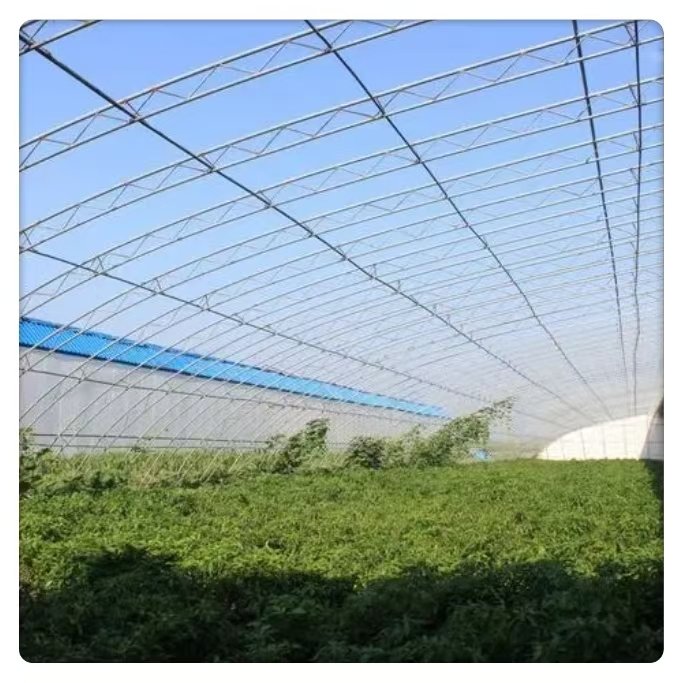 Factory Price Wholesale Efficient Agriculture Multi Span Large Hydroponic Film Greenhouse Steel PE Plant Solar Greenhouses