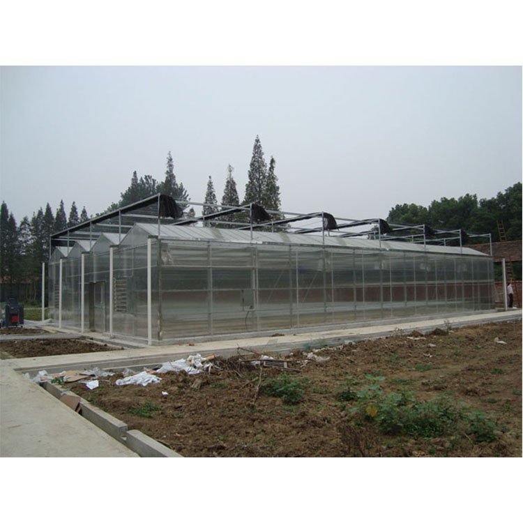 Agricultural Commercial Fruits Greenhouse Polycarbonate Greenhouse Manufacture Polycarbonate Cover Green House For Hydroponic