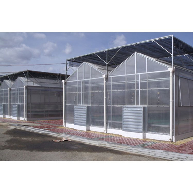 Agricultural Commercial Fruits Greenhouse Polycarbonate Greenhouse Manufacture Polycarbonate Cover Green House For Hydroponic