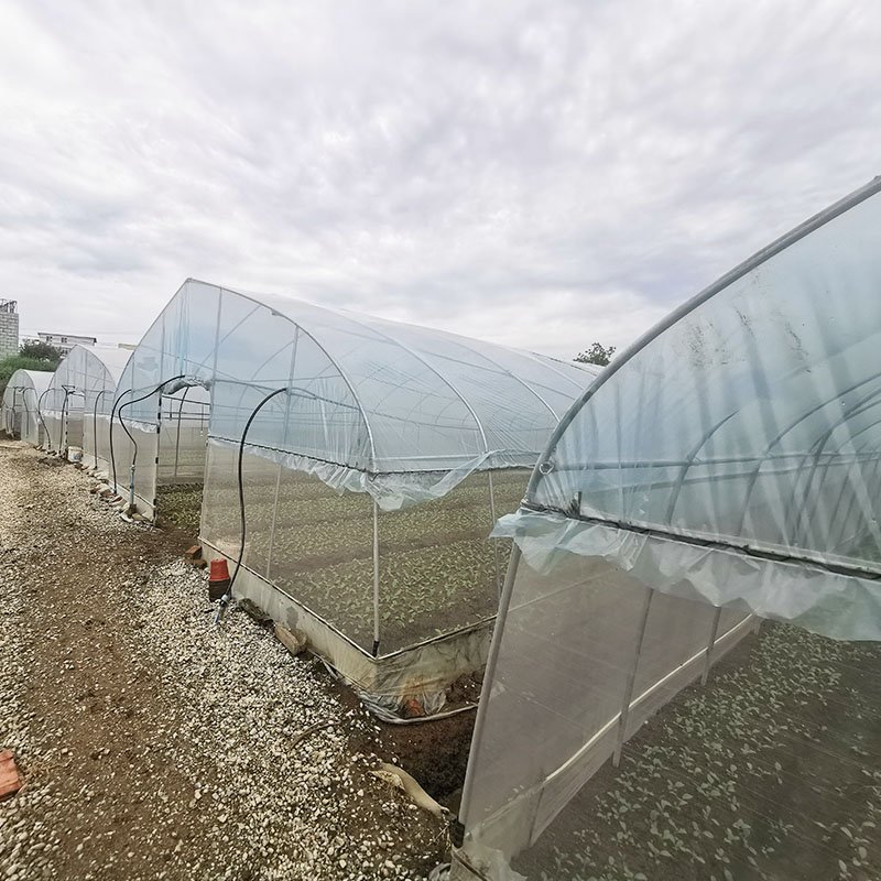 Fruits Planting Strawberry Greenhouse Turnkey Project Poly Film Arch Tunnel Arch Plastic Film Strawberry Greenhouse
