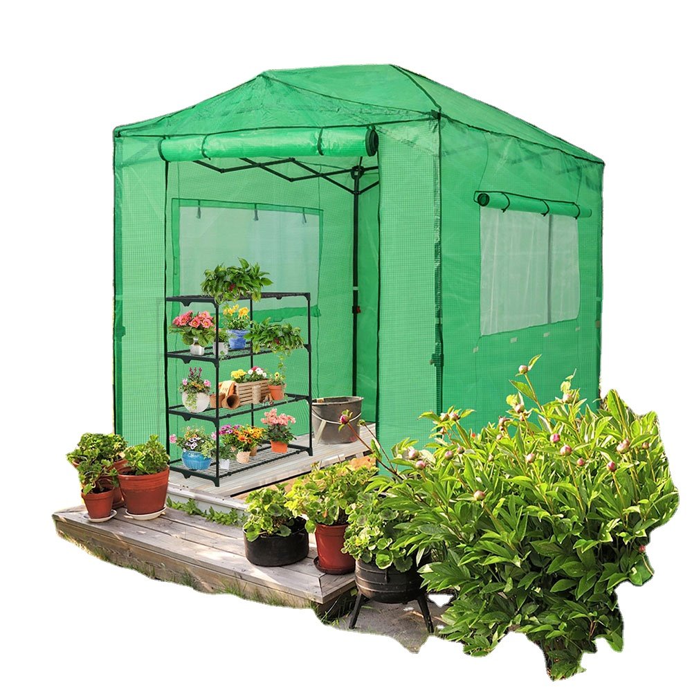 Agricultural Greenhouses Garden Greenhouse For Sale Grow Tent Eco-Friendly