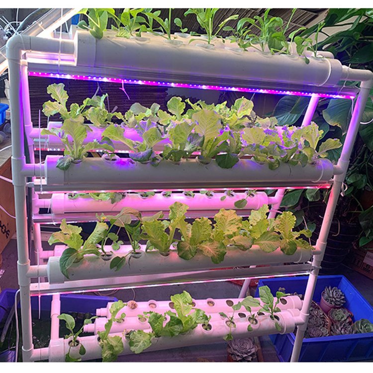 New type agricultural indoor hydroponic plant hydroponic farm hydroponic growth system