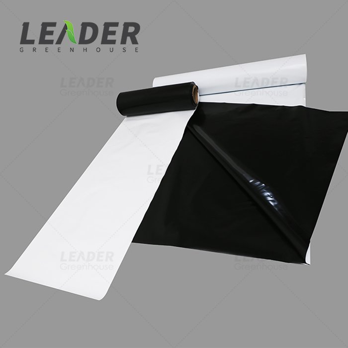 UV resistant agricultural mushroom light deprivation greenhouse 150 micron 6 mil hydro film white black plastic sheet panda film