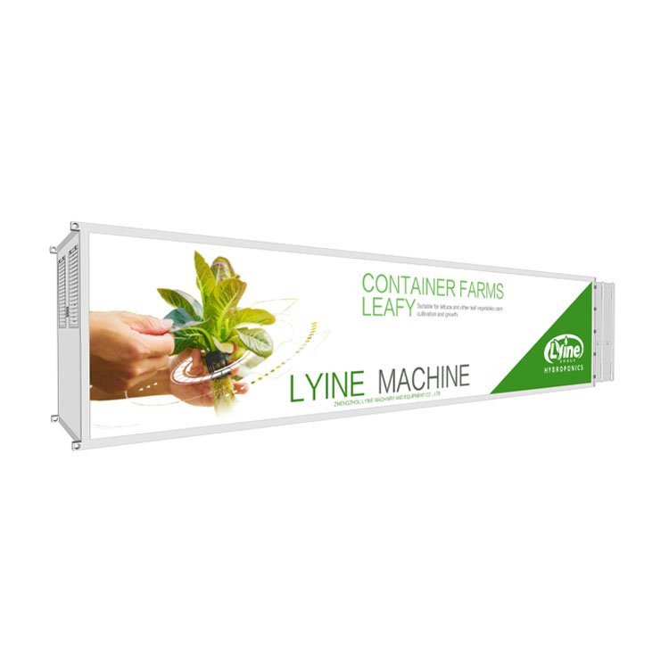 Lyine Agricultural Hydroponic Vegetables Grow Container Farming System Vertical Hydroponic Shipping Container Farm