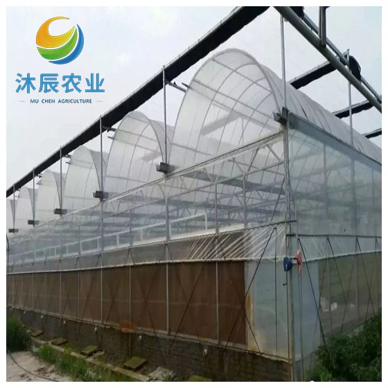 Agricultural Greenhouses Hydroponics Growing Vegetables Multi-span Plastic Film Tunnel Greenhouse Invernadero