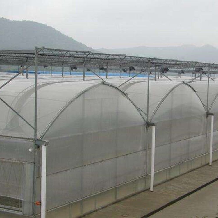 Agricultural Greenhouses Hydroponics Growing Vegetables Multi-span Plastic Film Tunnel Greenhouse Invernadero