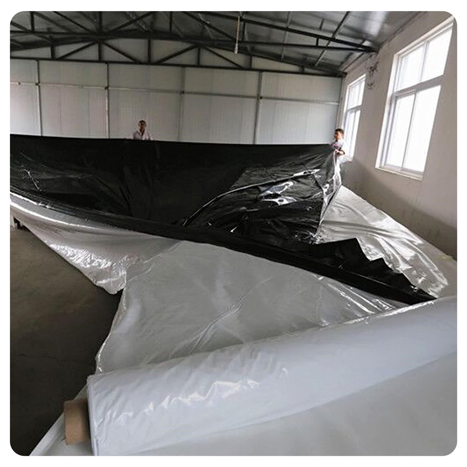 5.5Mil Mushroom Poly Panda Plastic Film UV Treated 200micron Light Deprivation Greenhouse Cover Reflective Black And White Film