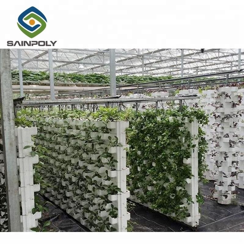 Horizontal and Vertical Greenhouse Complete Hydroponic System