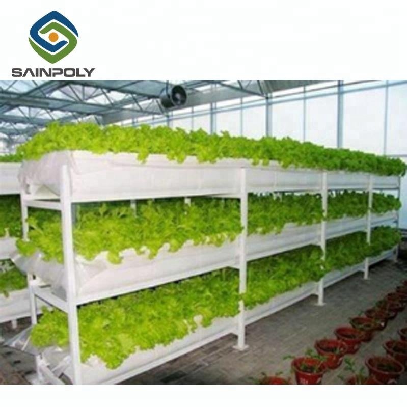 Horizontal and Vertical Greenhouse Complete Hydroponic System