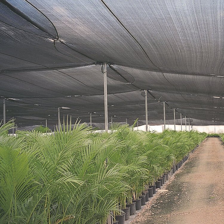 Gardening Plastic Shading Mesh Agriculture Greenhouse Nursery Shade Netting