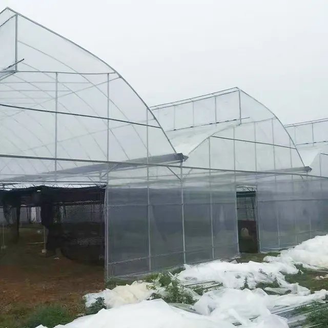 CHOYUEH Good Quantity Hot galvanized steel pipe sawtooth greenhouse Multi-span Greenhouse frame structure for Agriculture