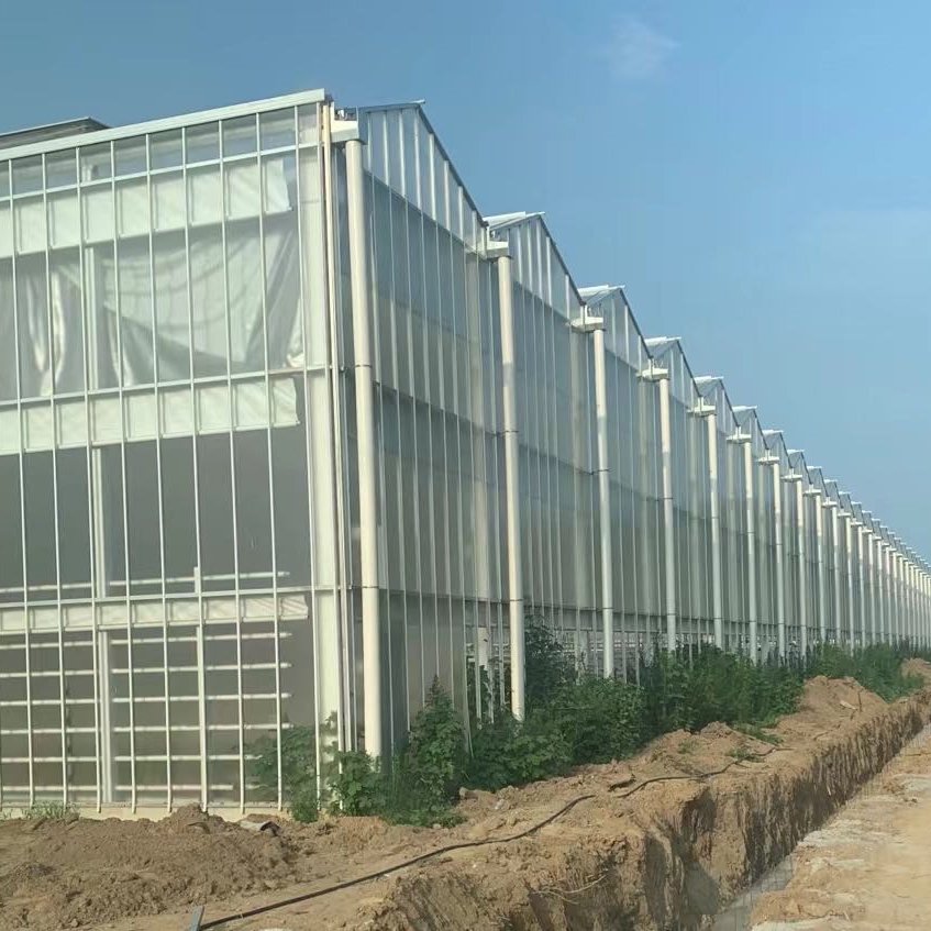 Large Agricultural Greenhouse Window Glass Multi span Greenhouse