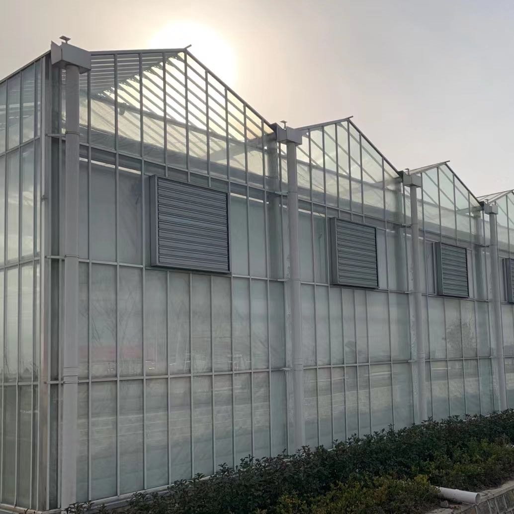 Large Agricultural Greenhouse Window Glass Multi span Greenhouse