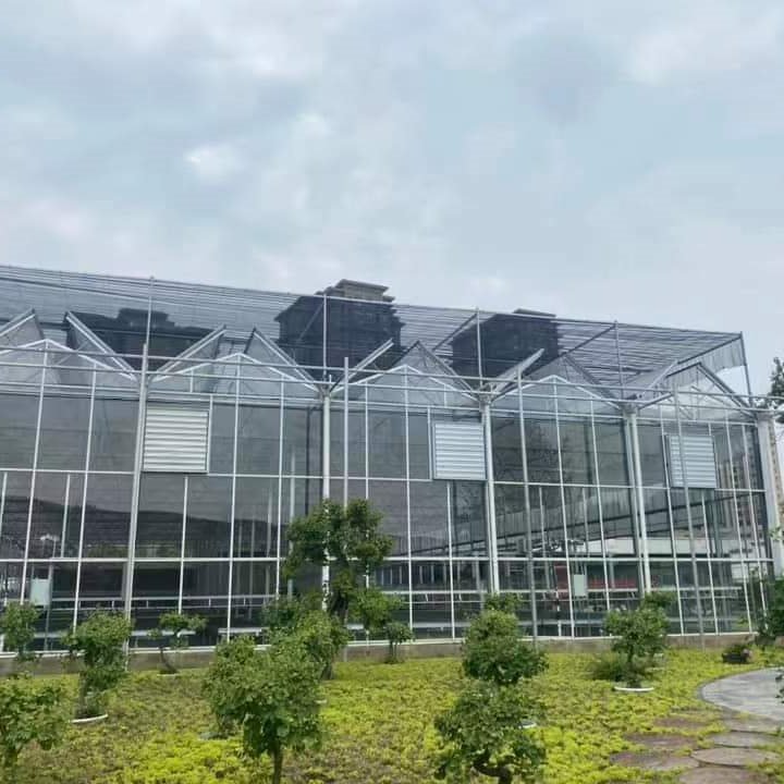 Large Agricultural Greenhouse Window Glass Multi span Greenhouse