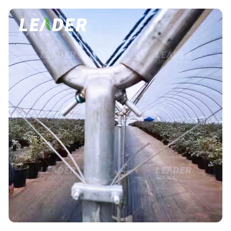 Professional Australia Greenhouses Supplier For Agricultural Blueberry Strawberry Farming Tunnel Greenhouse
