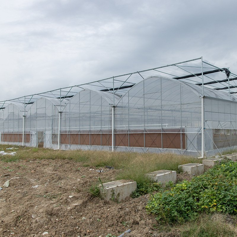 FUMA Agriculture Turnkey Hydroponics Customized Multi-span Film Tomato Greenhouse For Sale