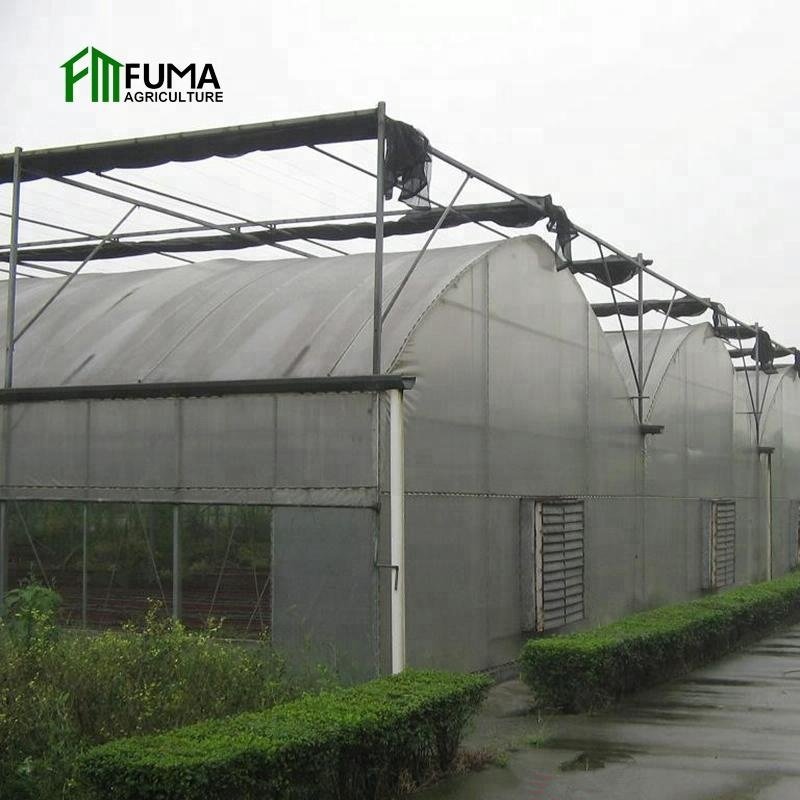 FUMA Agriculture Turnkey Hydroponics Customized Multi-span Film Tomato Greenhouse For Sale