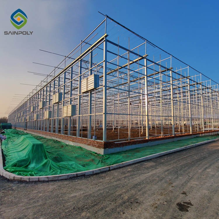 Sainpoly High Quality Low Cost Multi-Span Glass Greenhouse Large Size for Agricultural Use