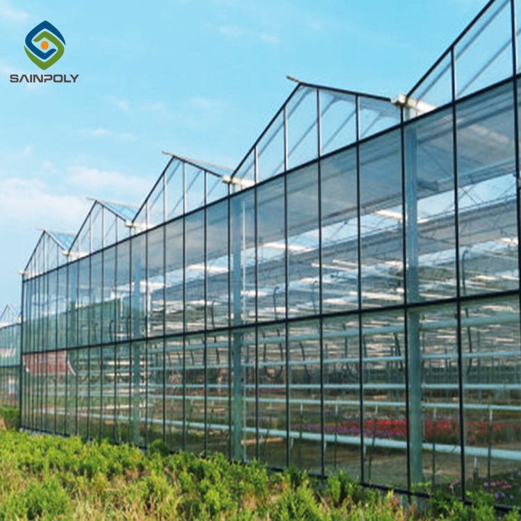 Sainpoly High Quality Low Cost Multi-Span Glass Greenhouse Large Size for Agricultural Use