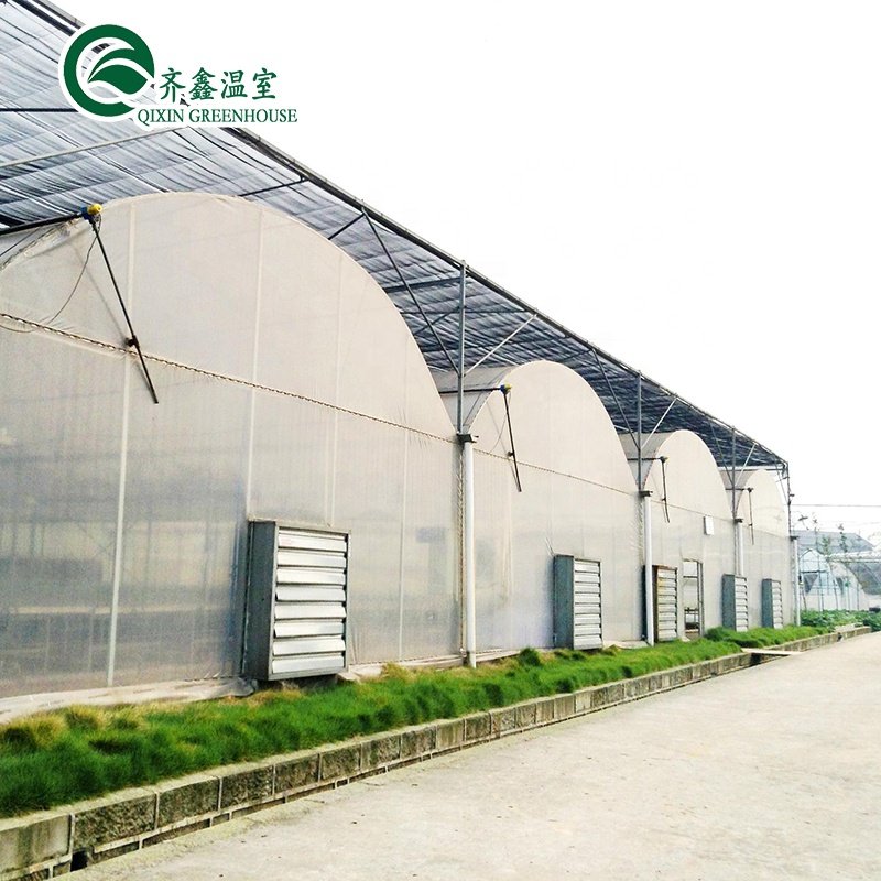 South Korea agricultural Greenhouse with ebb flow rolling bench