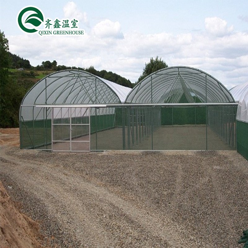 South Korea agricultural Greenhouse with ebb flow rolling bench