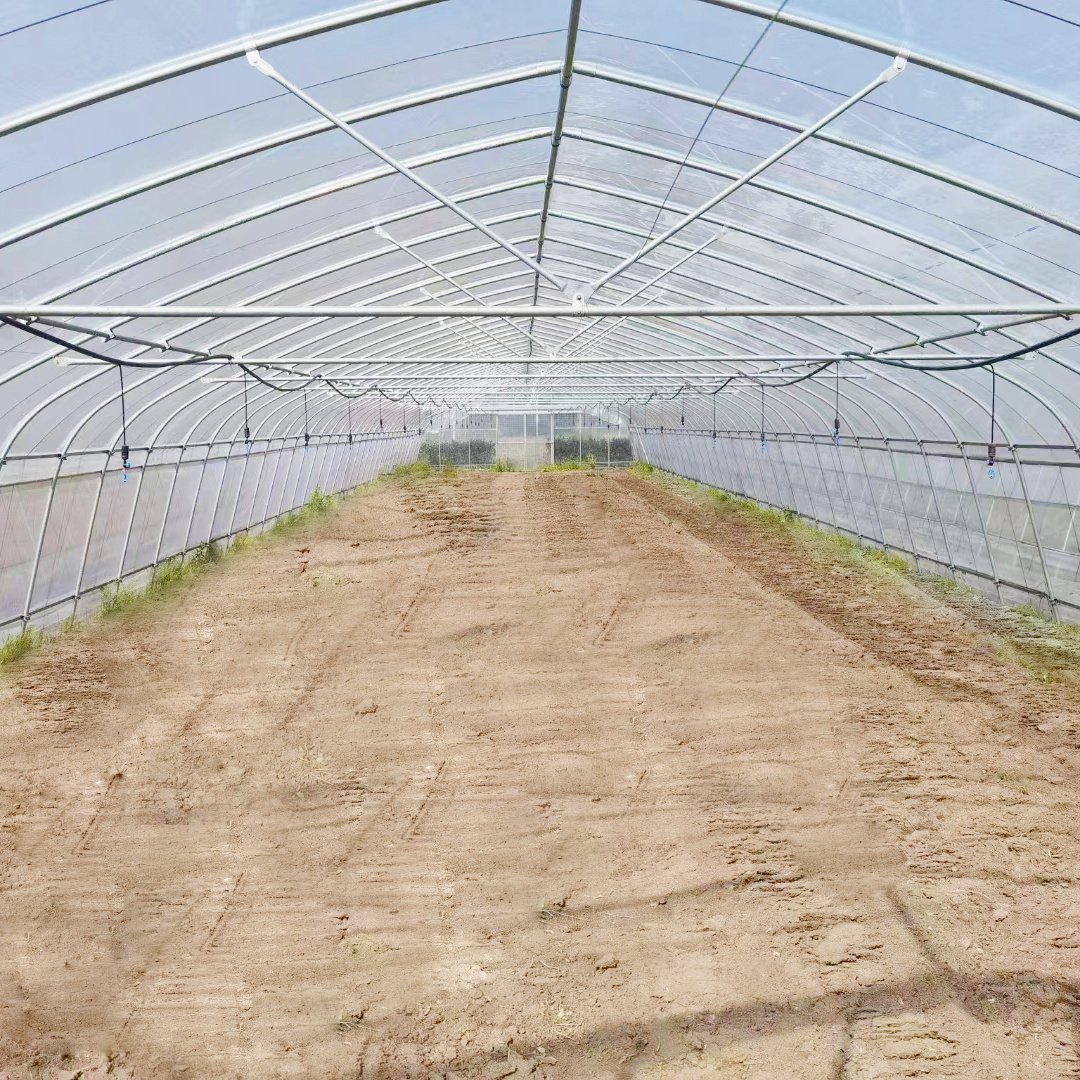 The Cheapest Single-span Poly Tunnel Agriculture Vegetable High Tunnel Commercial Green House Greenhouse