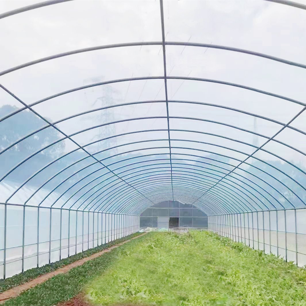 The Cheapest Single-span Poly Tunnel Agriculture Vegetable High Tunnel Commercial Green House Greenhouse