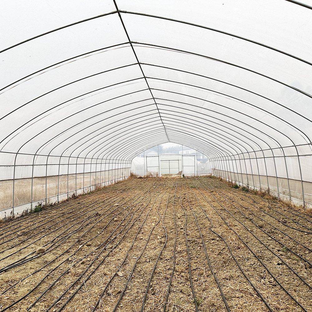Best Sell Galvanized Steel structure tunnel plastic greenhouse agricultural price