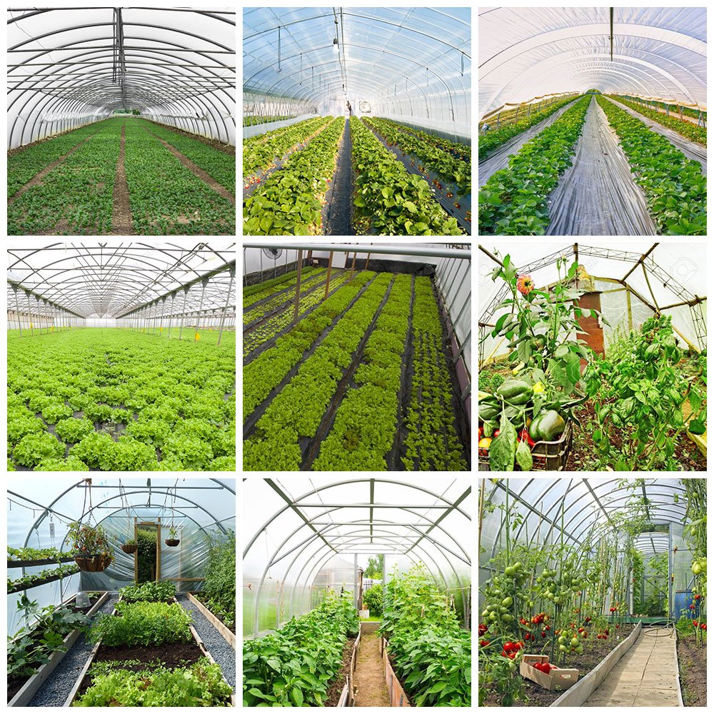 Chinese Plastic Greenhouse Manufacturer Shade Cloth Greenhouse