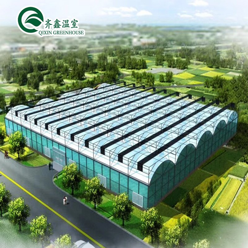 New material polycarbonate tunnel greenhouse with UV protection for growing vegetables