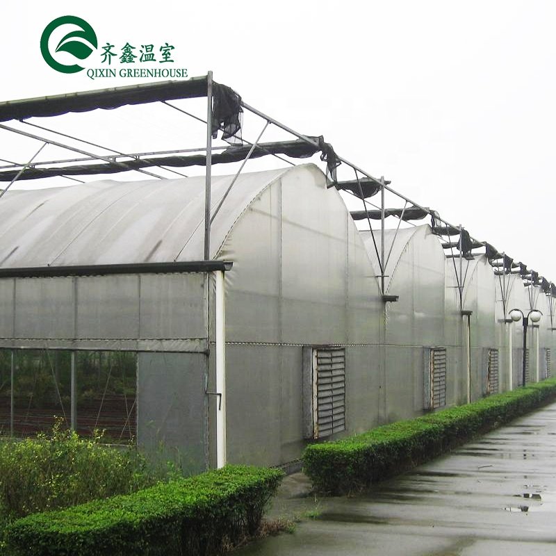New material polycarbonate tunnel greenhouse with UV protection for growing vegetables