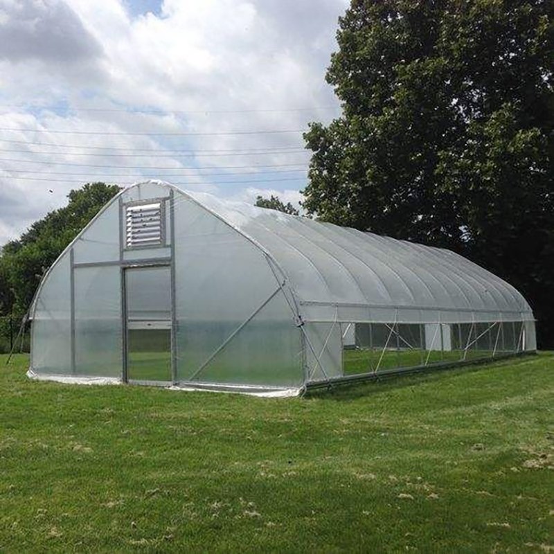 Commercial Industrial Greenhouse for Tomato Cultivation Single Span High Tunnel Economical Plastic Agricultural Greenhouse
