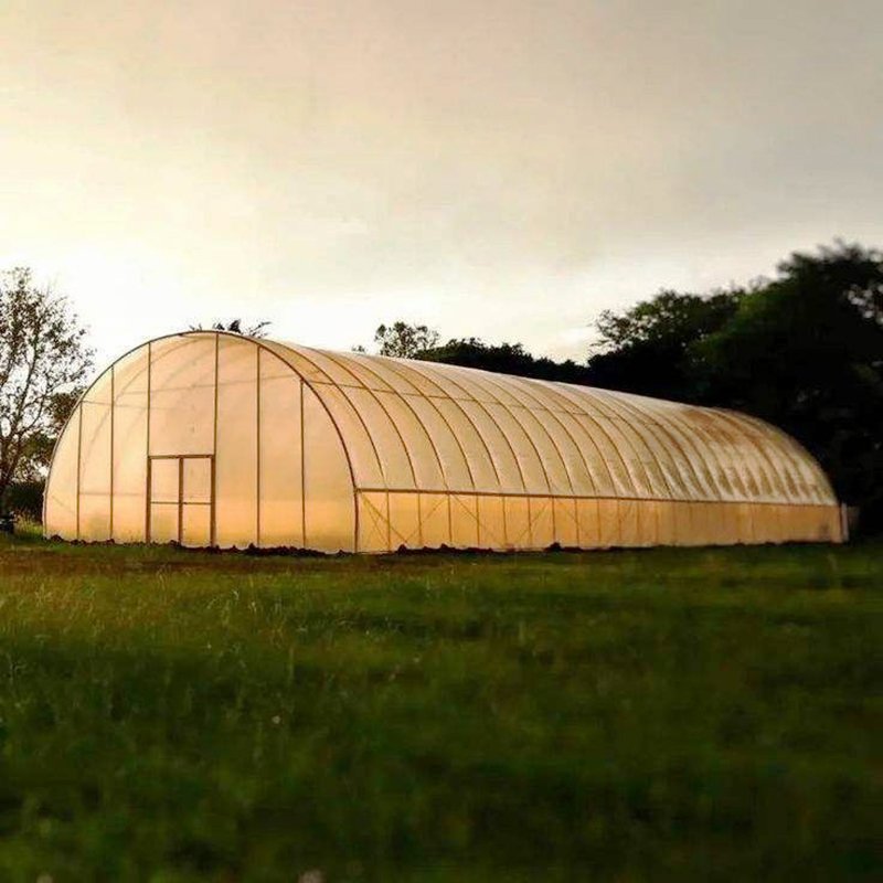 Commercial Industrial Greenhouse for Tomato Cultivation Single Span High Tunnel Economical Plastic Agricultural Greenhouse